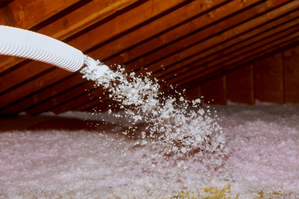 Best Residential Insulation Services  in Casselton, ND