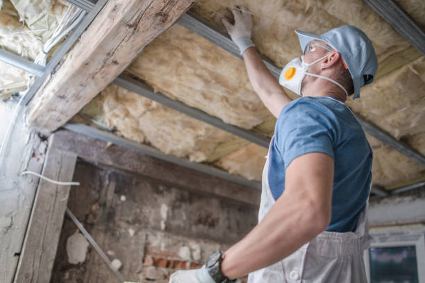 Best Local Insulation Services  in Casselton, ND